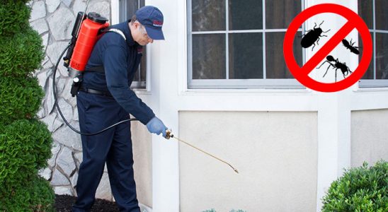 Seyrekköy Hamam Böceği İlaçlama böcek ilaçlama ve haşere kontrolü — ilaclama-tr.com
